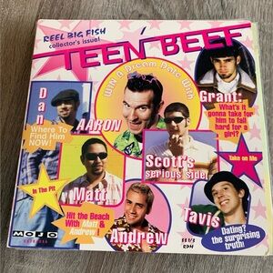 NEW Reel Big Fish CPD Vacationing in Palm Springs / Teen Beef 7" Vinyl